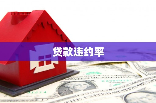 五台贷款违约率