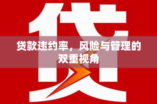 五台贷款违约率，风险与管理的双重视角