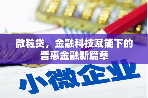五台微粒贷，金融科技赋能下的普惠金融新篇章
