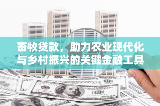 五台畜牧贷款，助力农业现代化与乡村振兴的关键金融工具