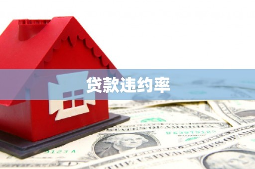五台贷款违约率