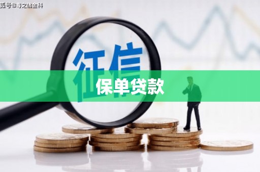 五台保单贷款