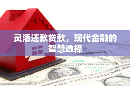 五台灵活还款贷款，现代金融的智慧选择