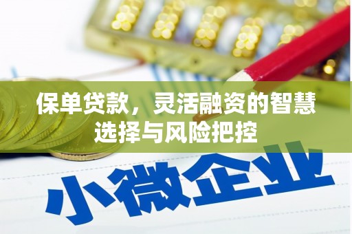 五台保单贷款，灵活融资的智慧选择与风险把控