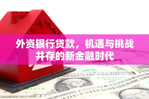 五台外资银行贷款，机遇与挑战并存的新金融时代