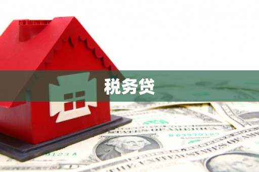 五台税务贷