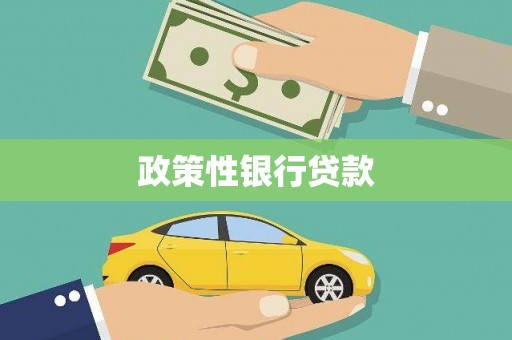 五台政策性银行贷款