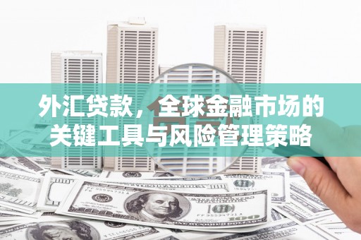 五台外汇贷款，全球金融市场的关键工具与风险管理策略