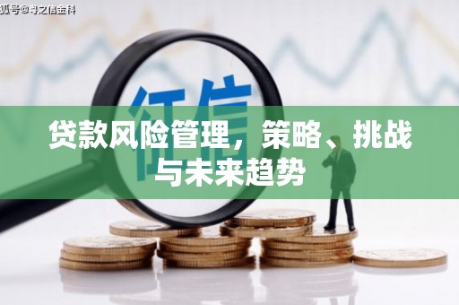 五台贷款风险管理，策略、挑战与未来趋势