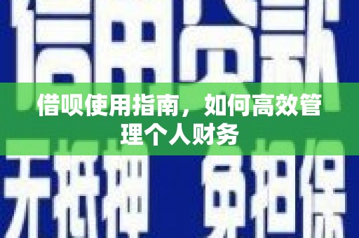 五台借呗使用指南，如何高效管理个人财务