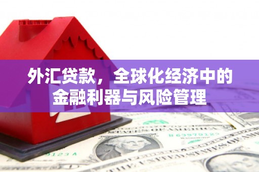 五台外汇贷款，全球化经济中的金融利器与风险管理