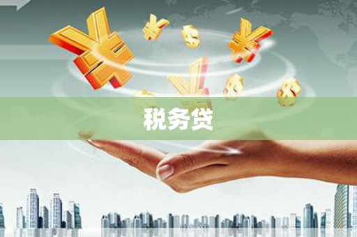 五台税务贷