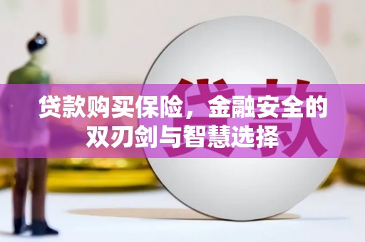 五台贷款购买保险，金融安全的双刃剑与智慧选择