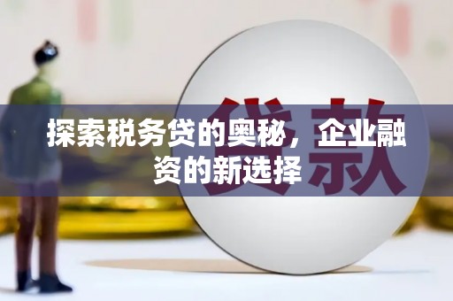 五台探索税务贷的奥秘，企业融资的新选择