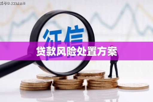 五台贷款风险处置方案
