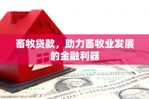 五台畜牧贷款，助力畜牧业发展的金融利器