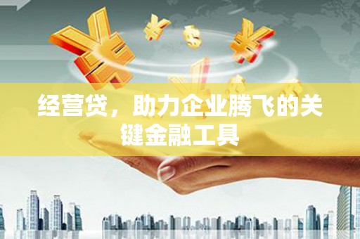 五台经营贷，助力企业腾飞的关键金融工具