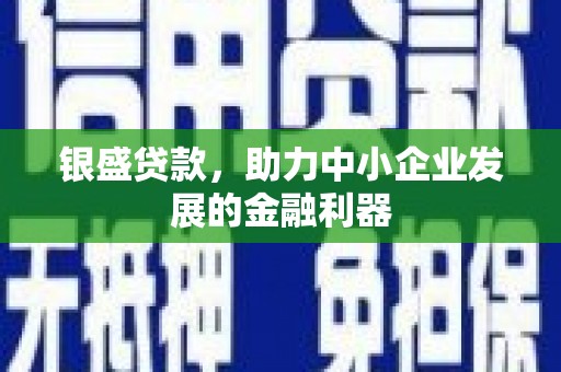 五台银盛贷款，助力中小企业发展的金融利器