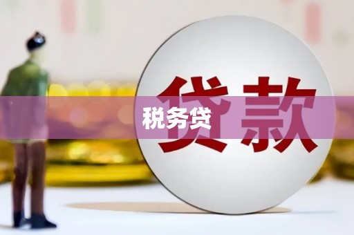 五台税务贷
