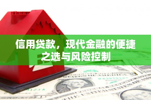 五台信用贷款，现代金融的便捷之选与风险控制