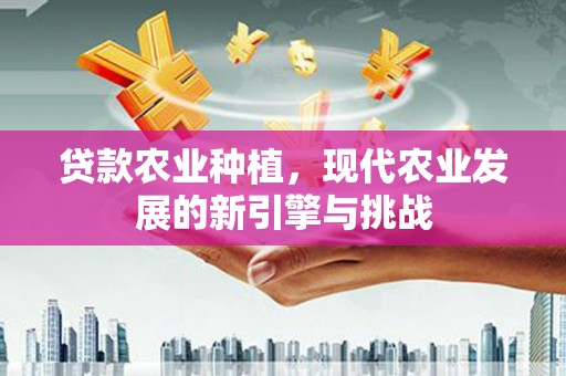 五台贷款农业种植，现代农业发展的新引擎与挑战