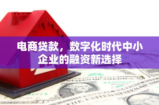 五台电商贷款，数字化时代中小企业的融资新选择