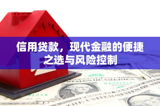 五台信用贷款，现代金融的便捷之选与风险控制