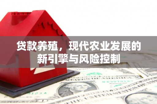 五台贷款养殖，现代农业发展的新引擎与风险控制