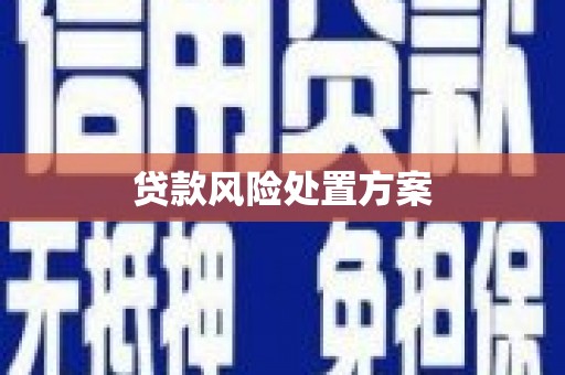 五台贷款风险处置方案