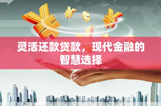 五台灵活还款贷款，现代金融的智慧选择