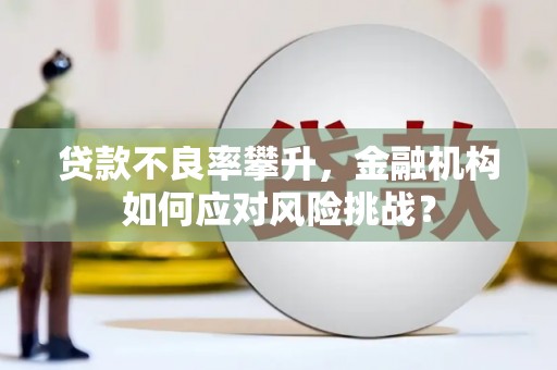 五台贷款不良率攀升，金融机构如何应对风险挑战？