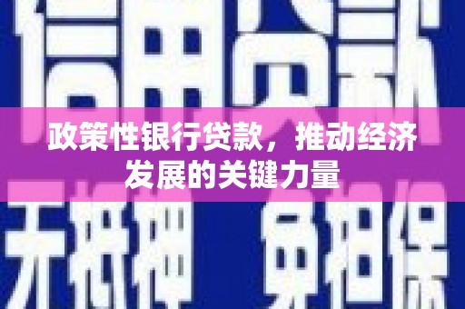 五台政策性银行贷款，推动经济发展的关键力量