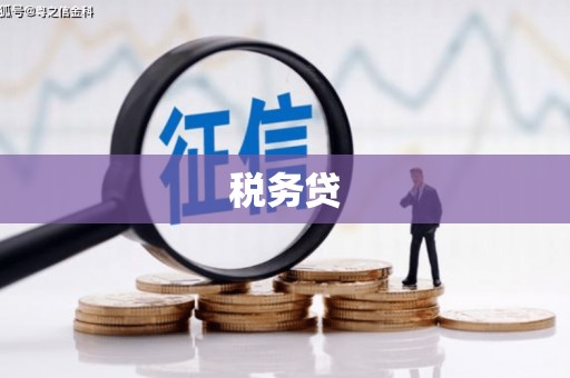 五台税务贷