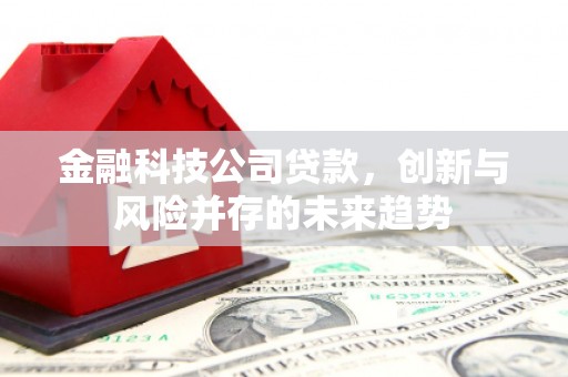 五台金融科技公司贷款，创新与风险并存的未来趋势