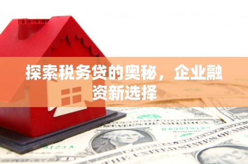 五台探索税务贷的奥秘，企业融资新选择