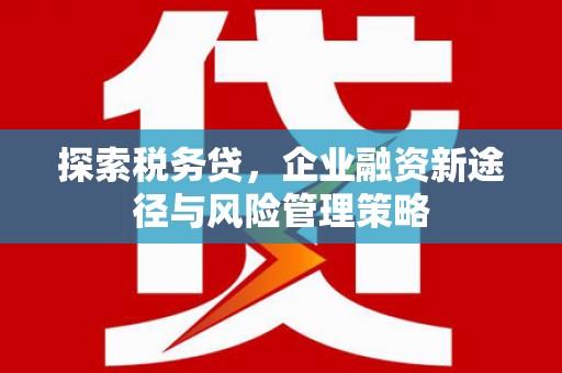 五台探索税务贷，企业融资新途径与风险管理策略