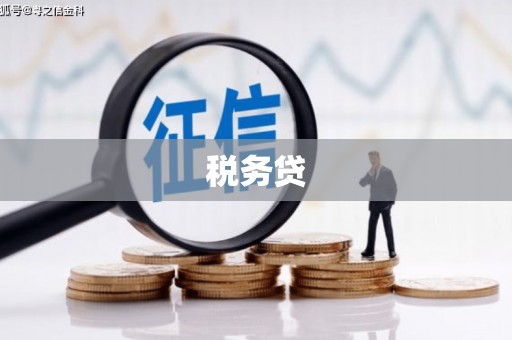五台税务贷