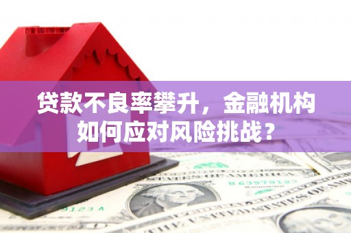五台贷款不良率攀升，金融机构如何应对风险挑战？