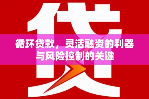 五台循环贷款，灵活融资的利器与风险控制的关键