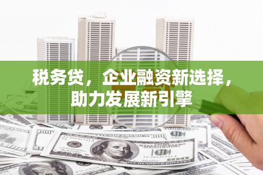 五台税务贷，企业融资新选择，助力发展新引擎