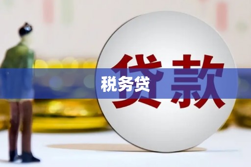 五台税务贷