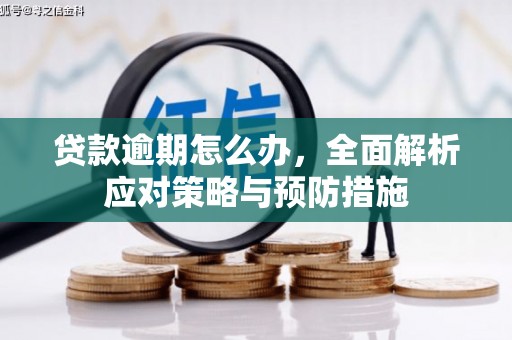 五台贷款逾期怎么办，全面解析应对策略与预防措施