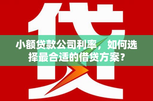 五台小额贷款公司利率，如何选择最合适的借贷方案？