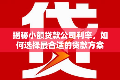 五台揭秘小额贷款公司利率，如何选择最合适的贷款方案
