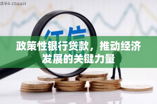 五台政策性银行贷款，推动经济发展的关键力量