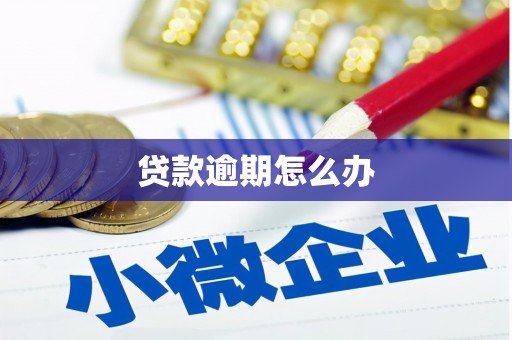 五台贷款逾期怎么办