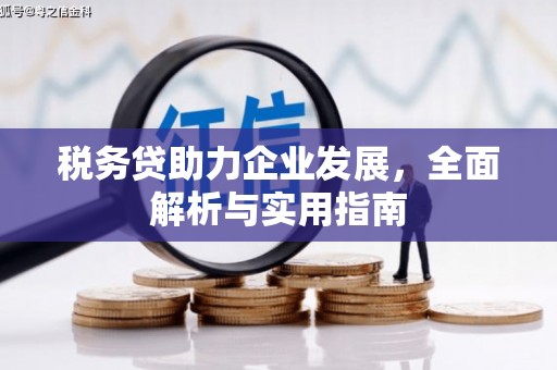 五台税务贷助力企业发展，全面解析与实用指南