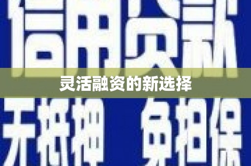 五台灵活融资的新选择