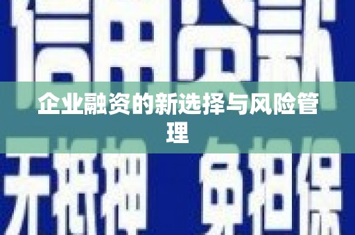 五台企业融资的新选择与风险管理