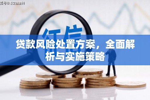 五台贷款风险处置方案，全面解析与实施策略
